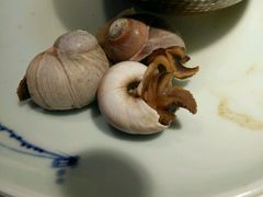 -盐汪子杂鱼馆(大港店)
