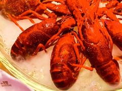 -红盔甲·小龙虾(车公庙店)