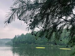 -重庆彩云湖湿地公园