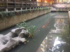 -凤凰寺