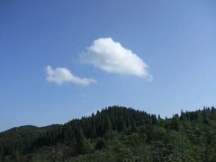 -武陵山森林公园