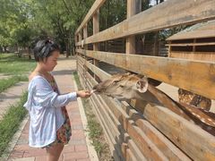 -圣露庄园·亲子活动乐园·露营·团建婚礼