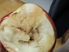 -叶氏兄弟果业(大连鲁迅店)