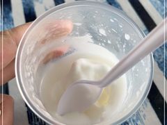 -洪馨椰子