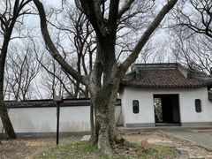 -上海佘山国家森林公园天马山园