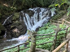 -莫里热带雨林景区