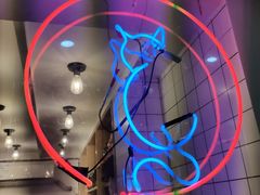 -滚猫咖啡·猫咖·猫友好撸猫(未来城店)