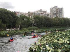 -新江湾城公园
