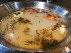 -土著渔匠·养生蝴蝶鱼(香樟路店)