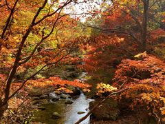 -本溪老边沟风景区