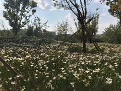 -贵阳市花溪国家城市湿地公园