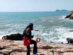 -广东惠东海龟国家级自然保护区