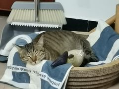 -荔康动物医院(康王北路店)