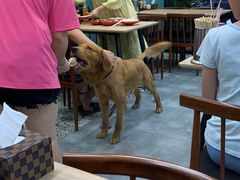 -俄士厨房(万松园店)
