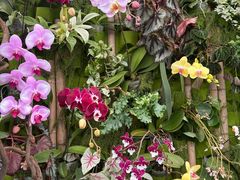 -上海鲜花港