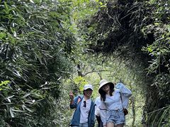 -会稽山峡洞漂流-上青古道