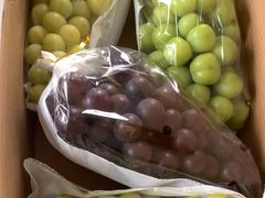 -马陆小张葡萄园农家乐