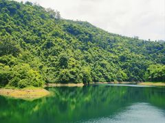 -鼎湖山风景区