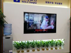 -上海银行(金茂支行)