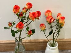 -循礼门鲜花花市(武汉循礼门店)