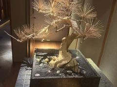 -浅深(北京北四环精品店)