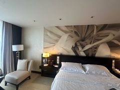 -国家会议中心大酒店