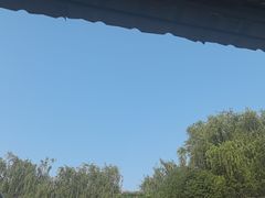 -名骏车业(园区星明店)