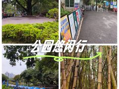 -晓港公园