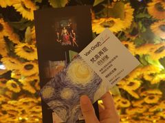 -梵高星空艺术馆(北京旗舰店)
