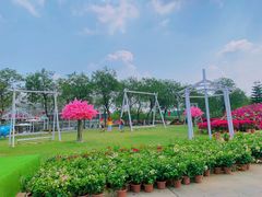 -盈香心动乐园