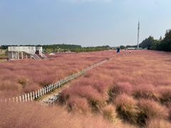 -嘉北郊野公园