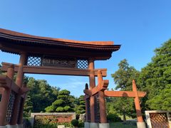 -深圳仙湖植物园