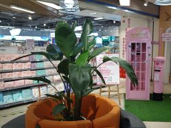 -孩子王(泊富ICITY店)