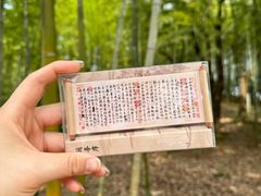 -兰亭风景区