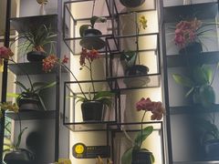 -街角 T·COFFEE 融合料理·BISTRO(车公庙店)