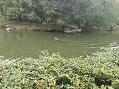 -宁波野生动物园