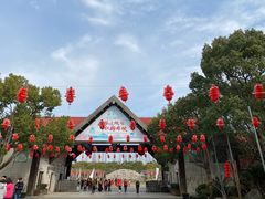 -上海海湾国家森林公园