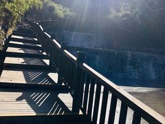 -长安文化生态公园