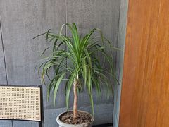 -陈熹公民族美食文化餐厅(中华广场店)