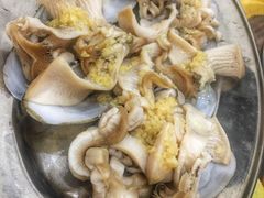 爱尔兰圣子皇-蚝专家(北滘店)