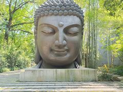 -杭州植物园