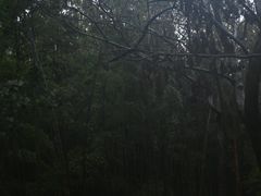 -达蓬山旅游度假区