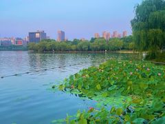 -天鹅湖体育公园