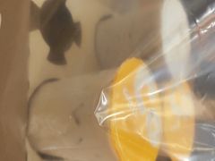 -CoCo都可(秀英万达店)