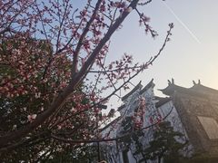 -广富林宰相府酒店·水云间