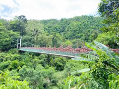 -西双版纳原始森林公园