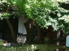 -虎跑公园