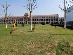 -天津五大道文化旅游区