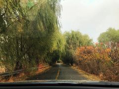 -蒲河岛湿地公园