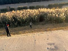 -北运河水利风景区